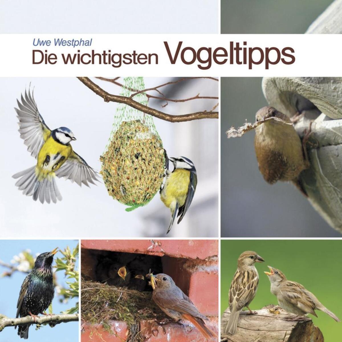 Die wichtigsten Vogeltipps