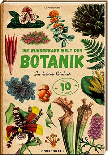 Die wunderbare Welt der Botanik: Eine illustrierte Naturkunde - Mit 10 herausnehmbaren Postern von Coppenrath