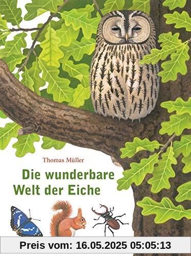 Die wunderbare Welt der Eiche
