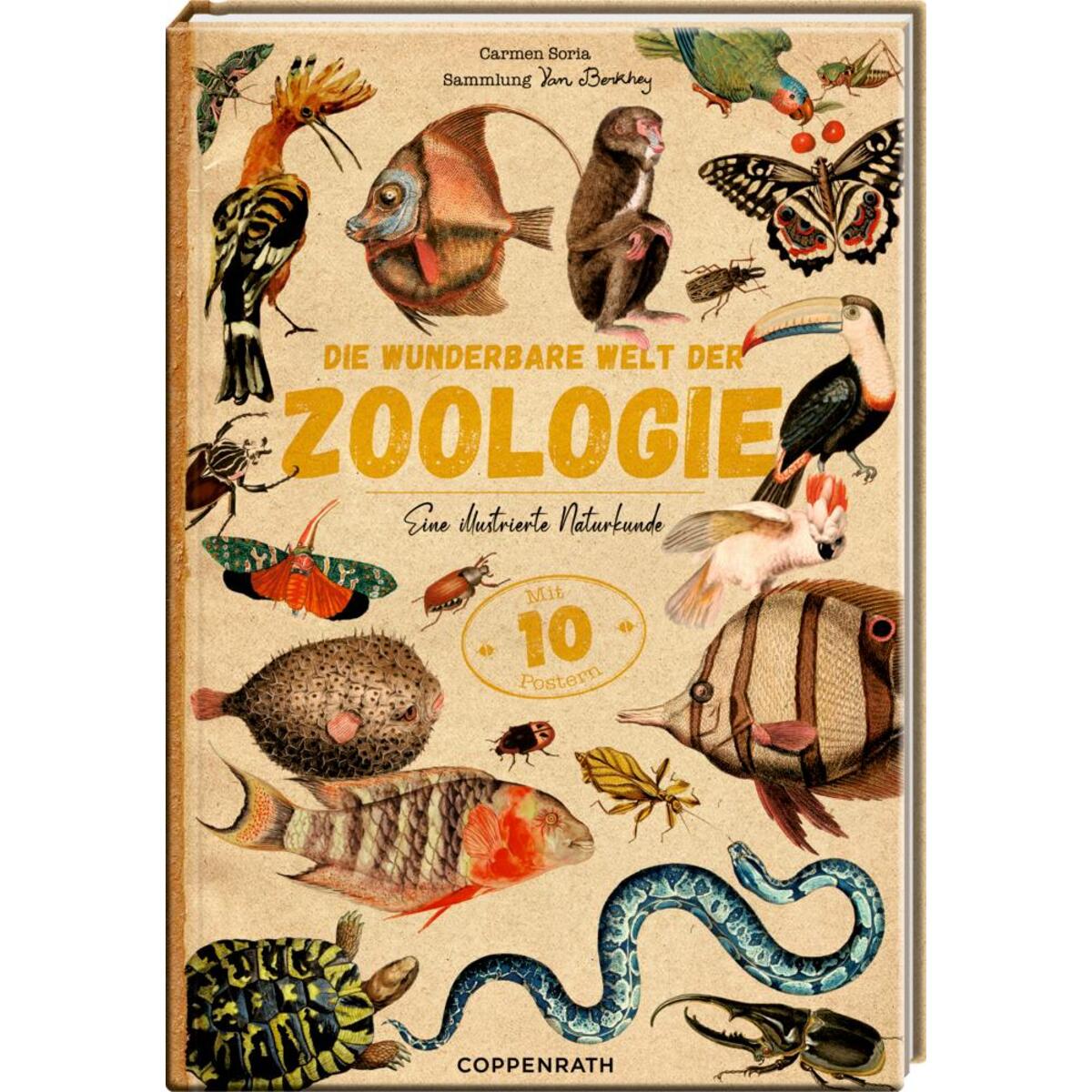 Die wunderbare Welt der Zoologie Die wunderbare Welt der Zoologie von Coppenrath F