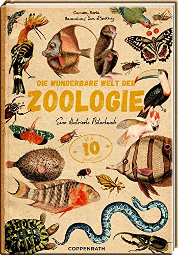Die wunderbare Welt der Zoologie: Eine illustrierte Naturkunde - Mit 10 herausnehmbaren Postern von Coppenrath