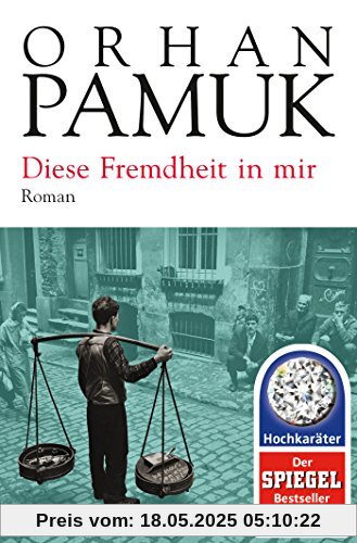 Diese Fremdheit in mir: Roman