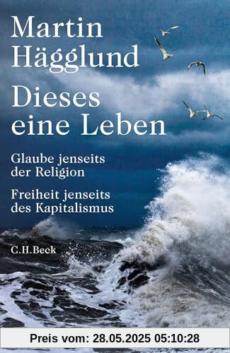 Dieses eine Leben: Glaube jenseits der Religion, Freiheit jenseits des Kapitalismus