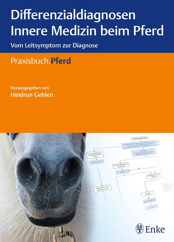 Differenzialdiagnosen Innere Medizin beim Pferd von Georg Thieme Verlag