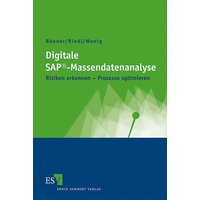 Digitale SAP®-Massendatenanalyse