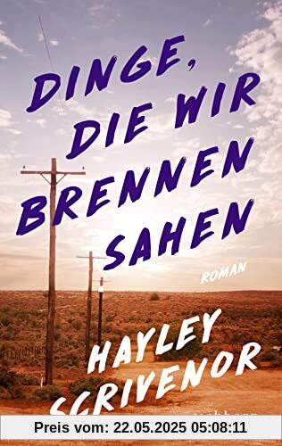 Dinge, die wir brennen sahen: Roman Dinge, die wir brennen sahen: Roman