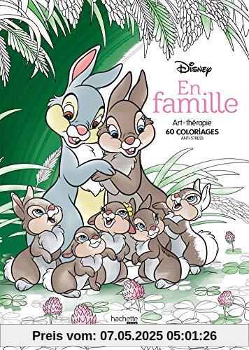 Disney En famille