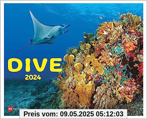 Dive 2024