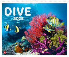 Dive 2025 von Delius Klasing