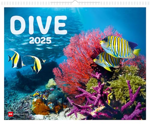 Dive 2025