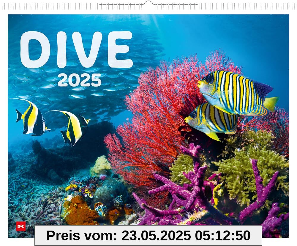 Dive 2025