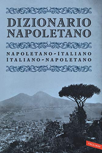 Dizionario napoletano. Nuova ediz. von Vallardi A.