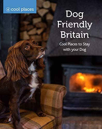 Dog Friendly Britain: Cool Places to Stay with your Dog von Punk Publishing Ltd