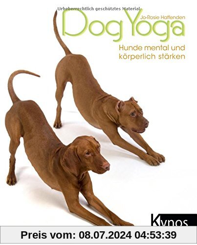 Dogyoga: Hunde mental und körperlich stärken