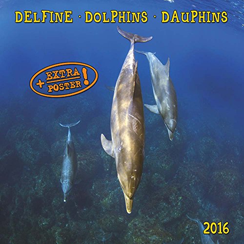 Dolphins/Delfine 2024: Kalender 2024 (Artwork Edition) von Tushita PaperArt