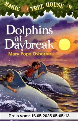 Dolphins at Daybreak