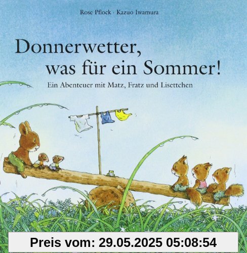 Donnerwetter, was für ein Sommer!: Ein Abenteuer mit Matz, Fratz und Lisettchen Donnerwetter, was für ein Sommer!: Ein Abenteuer mit Matz, Fratz und Lisettchen