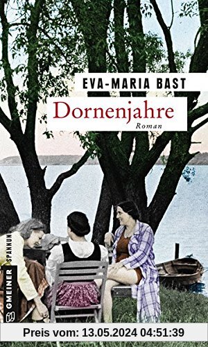 Dornenjahre: Dritter Teil der Jahrhundert-Saga (Zeitgeschichtliche Kriminalromane im GMEINER-Verlag)