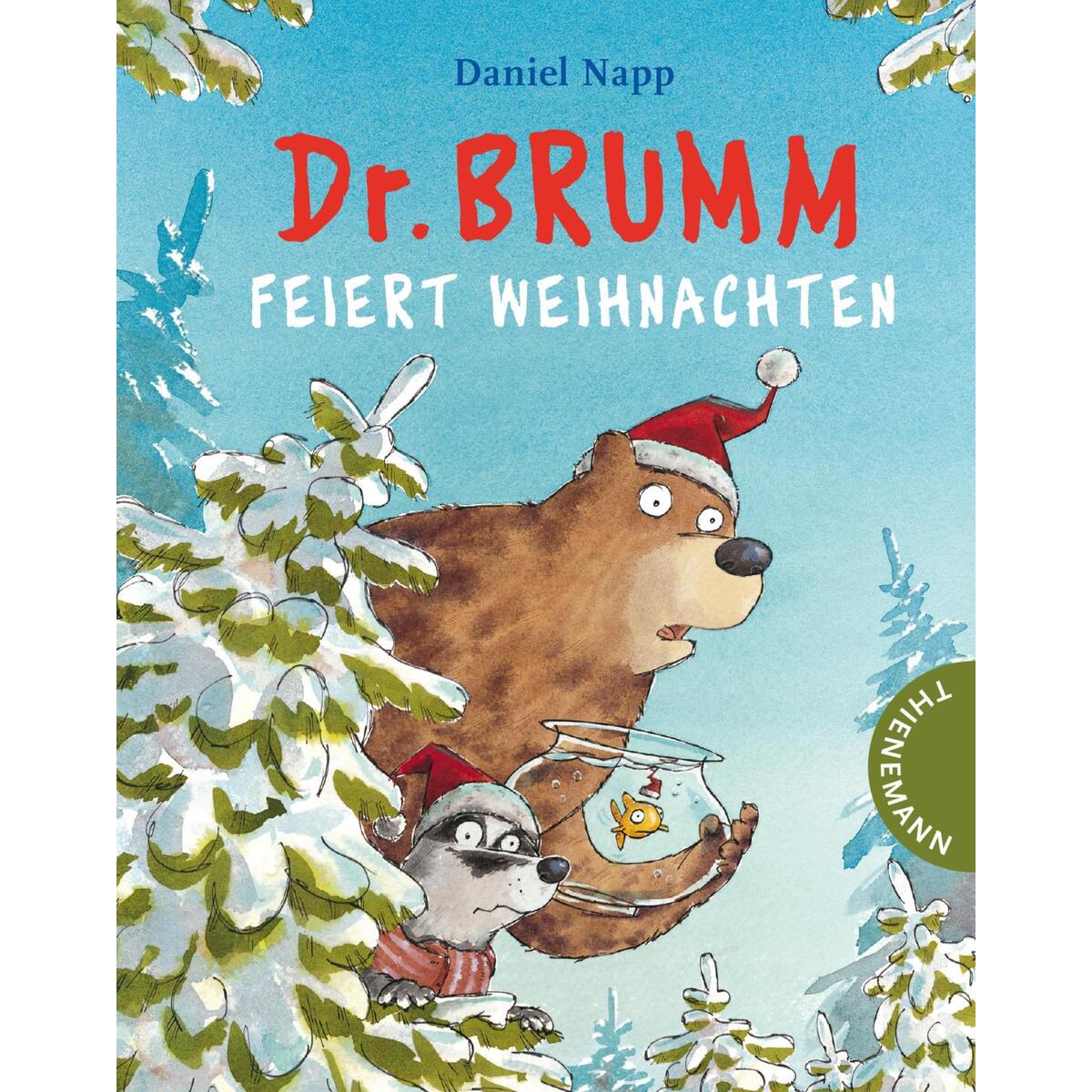 Dr. Brumm feiert Weihnachten (Mini) von Thienemann