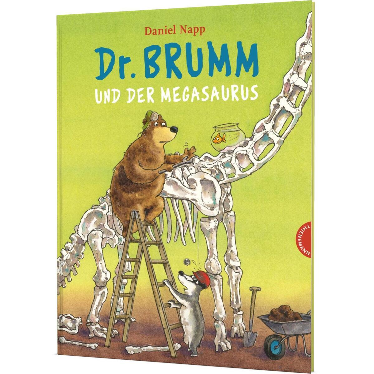 Dr. Brumm und der Megasaurus von Thienemann