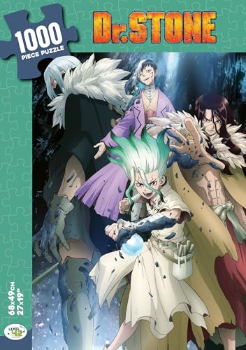 Dr. Stone puzzle 1000 pièces von YNNIS