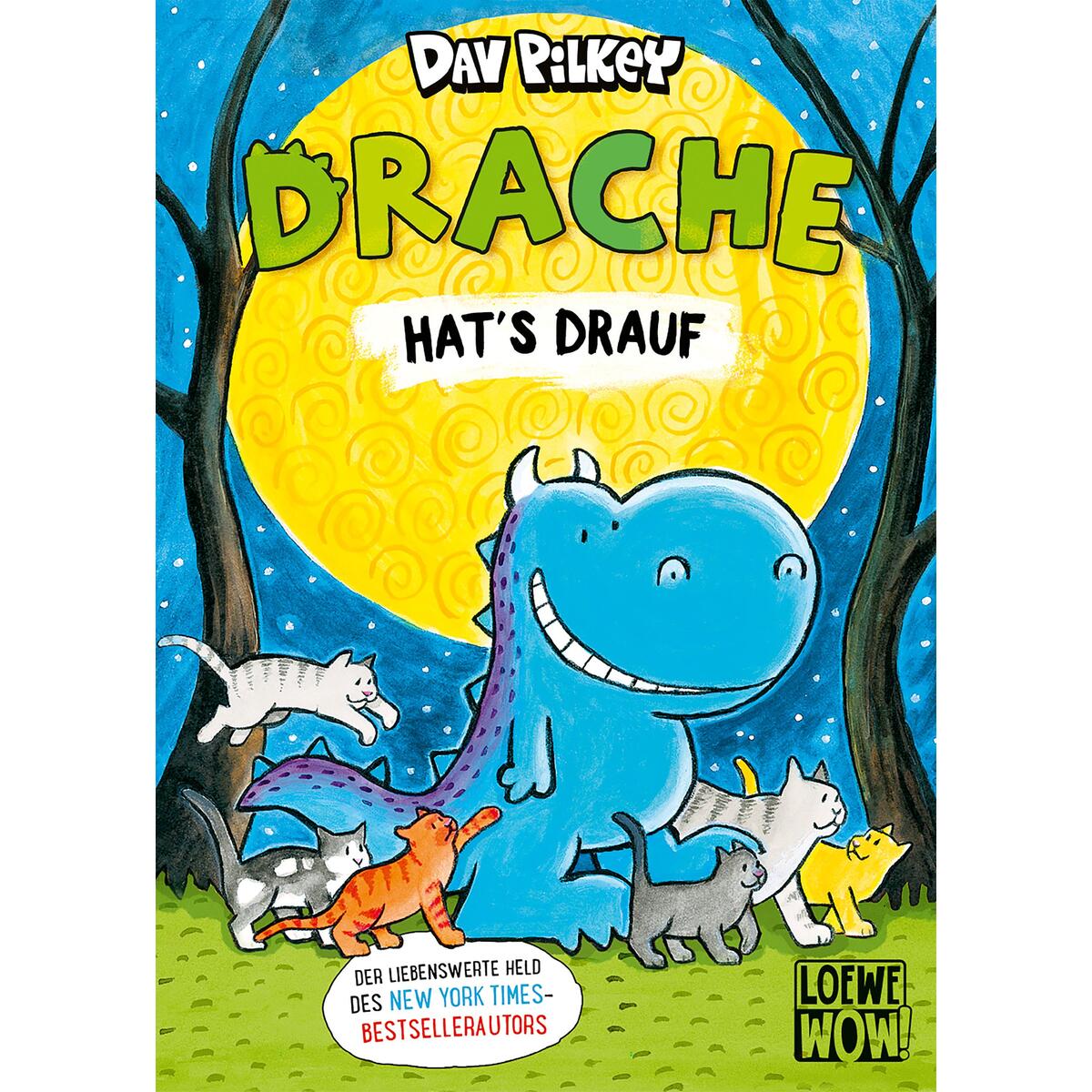 Drache hat's drauf Drache hat's drauf von Loewe Verlag GmbH