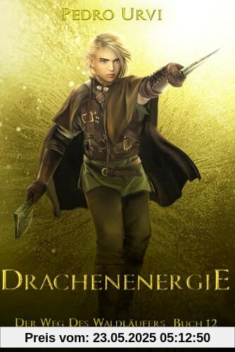 Drachenenergie: (Der Weg des Waldläufers, Buch 12)