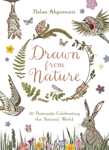 Drawn From Nature: 50 Postcards Celebrating the Natural World von Bonnier Books Ltd
