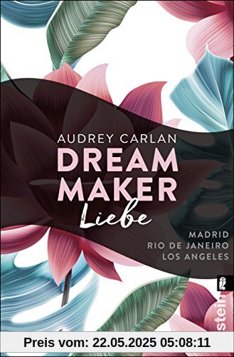 Dream Maker - Liebe (The Dream Maker, Band 4)