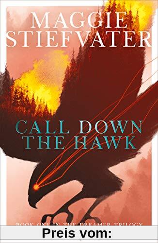 Dreamer 1. Call Down the Hawk