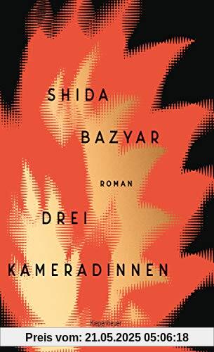 Drei Kameradinnen: Roman