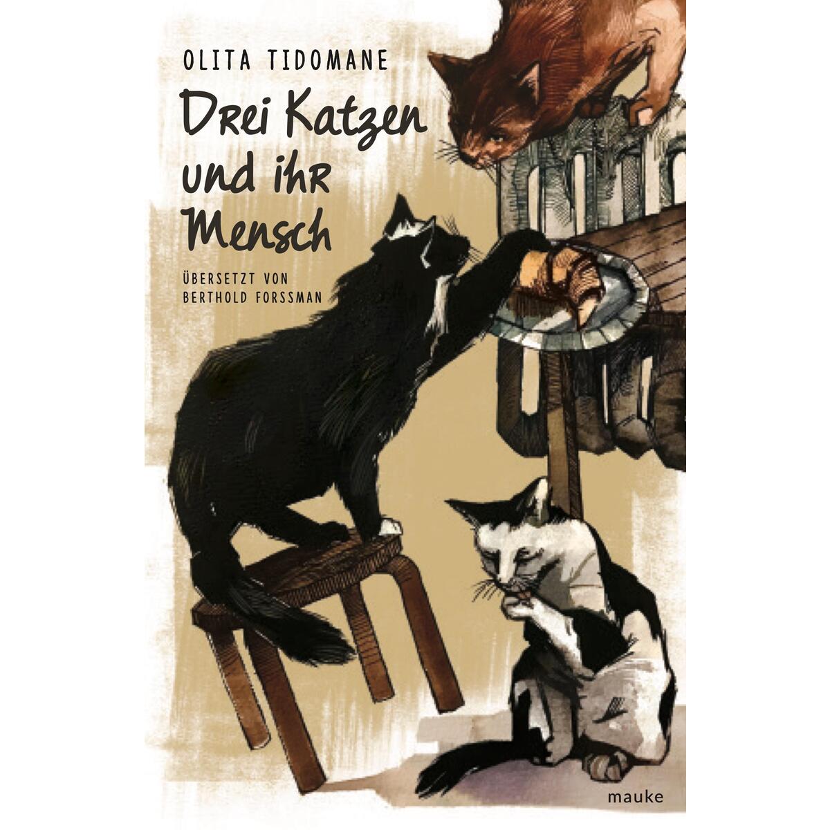 Drei Katzen und ihr Mensch von Friedrich Mauke KG