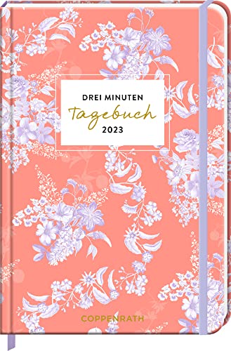 Drei Minuten Tagebuch 2023 - Toile de Jouy (Edition Barbara Behr) (Großer Wochenkalender)