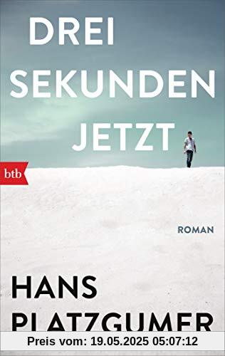 Drei Sekunden Jetzt: Roman