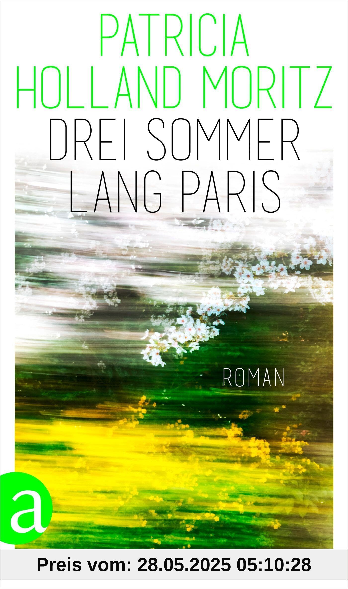Drei Sommer lang Paris: Roman