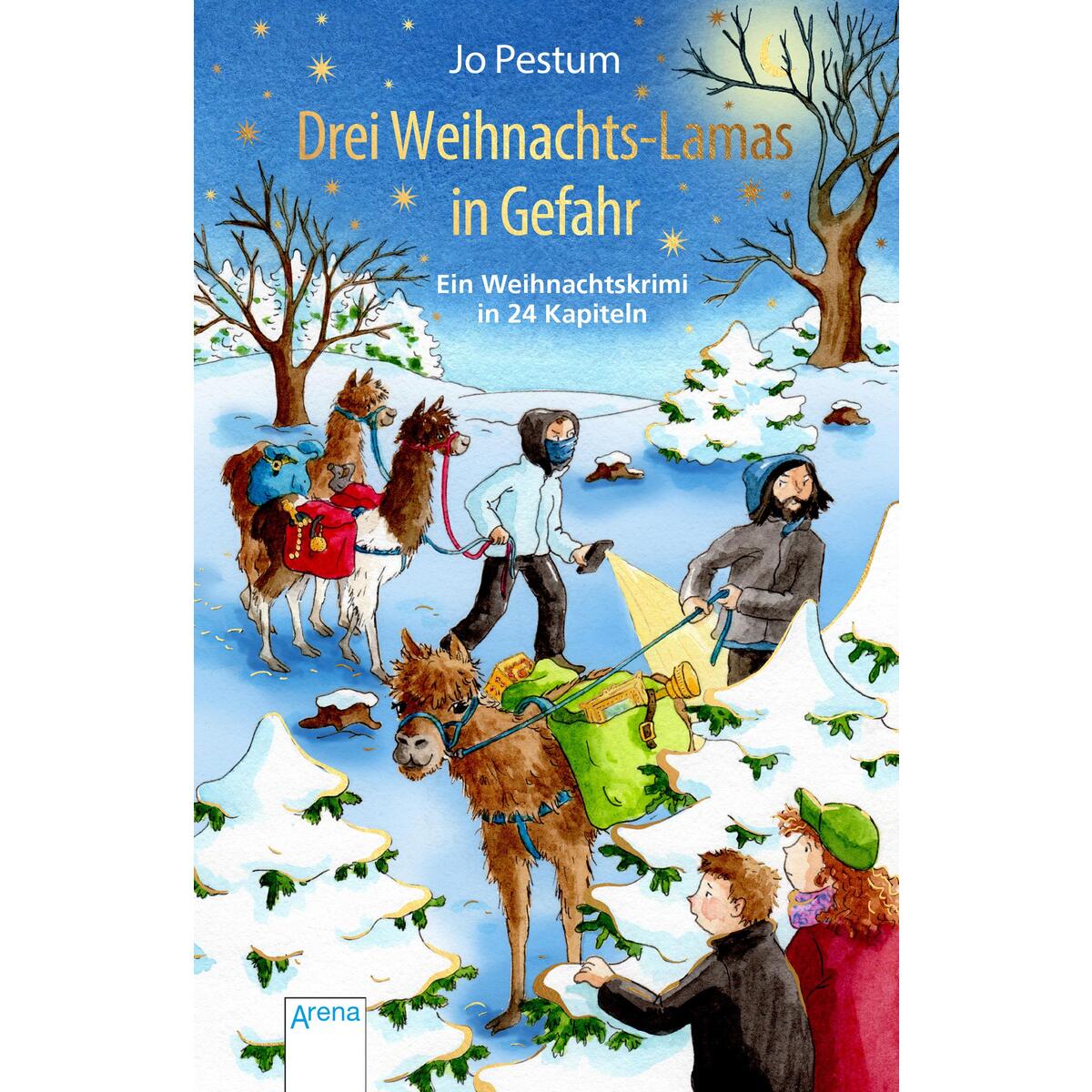 Drei Weihnachts-Lamas in Gefahr Drei Weihnachts-Lamas in Gefahr von Arena Verlag GmbH