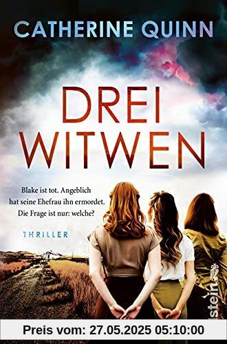 Drei Witwen: Thriller | Ein mitreißender Mormonen-Thriller Drei Witwen: Thriller | Ein mitreißender Mormonen-Thriller
