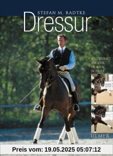 Dressur: Klassische Reitkunst bis zur Hohen Schule