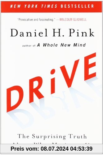Drive: The Surprising Truth About What Motivates Us
