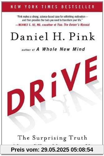 Drive: The Surprising Truth About What Motivates Us