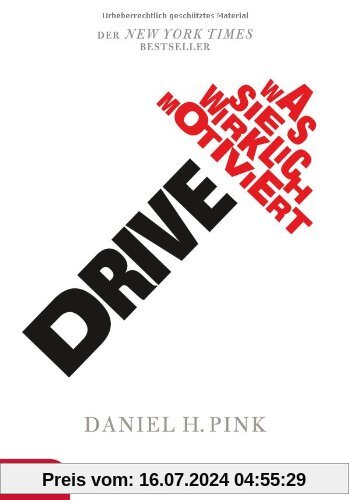 Drive: Was Sie wirklich motiviert