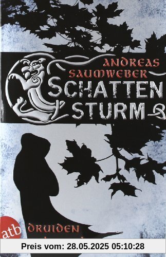 Druidenchronik, Band 2: Schattensturm Druidenchronik, Band 2: Schattensturm