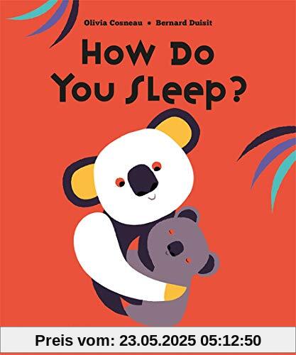 Druisit, B: How Do You Sleep?: A Flip Flap Pop Up Book