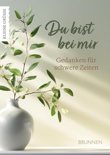 Du bist bei mir: Gedanken für schwere Zeiten (Kleine Grüsse) von Brunnen