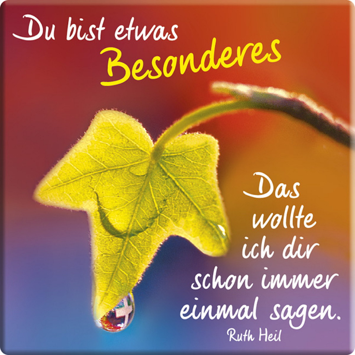 Du bist etwas Besonderes Du bist etwas Besonderes von Verlag Hintermann