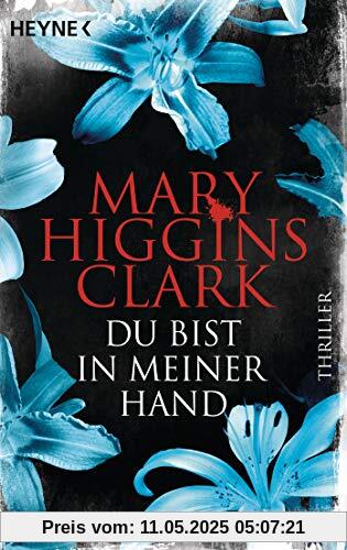 Du bist in meiner Hand: Thriller