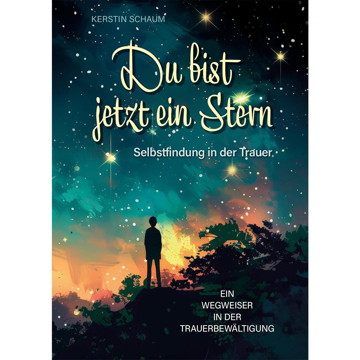 Du bist jetzt ein Stern von Parzellers Buchverlag