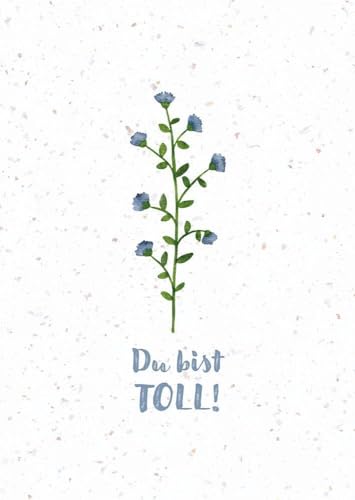 Du bist toll!: Faltkarte aus Samenpapier (Gemeinsamzeit statt Krimskrams)
