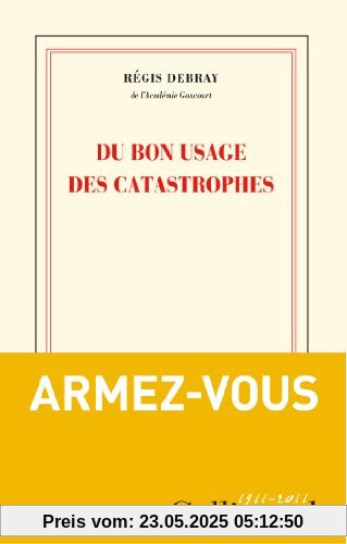 Du bon usage des catastrophes