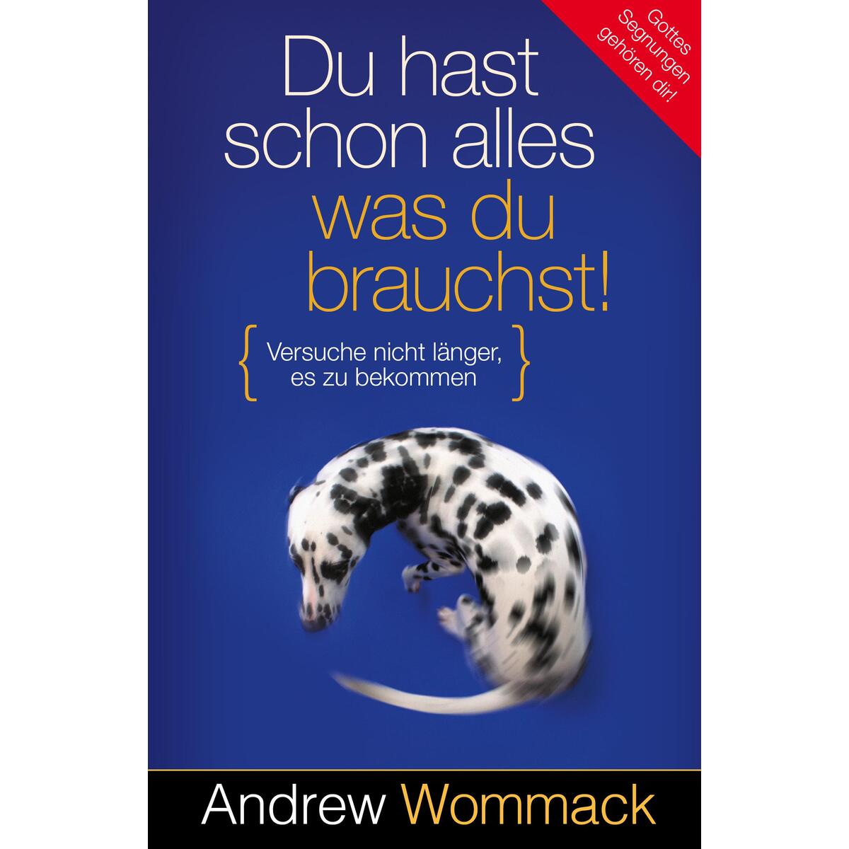 Du hast schon alles, was du brauchst! von Grace today Verlag